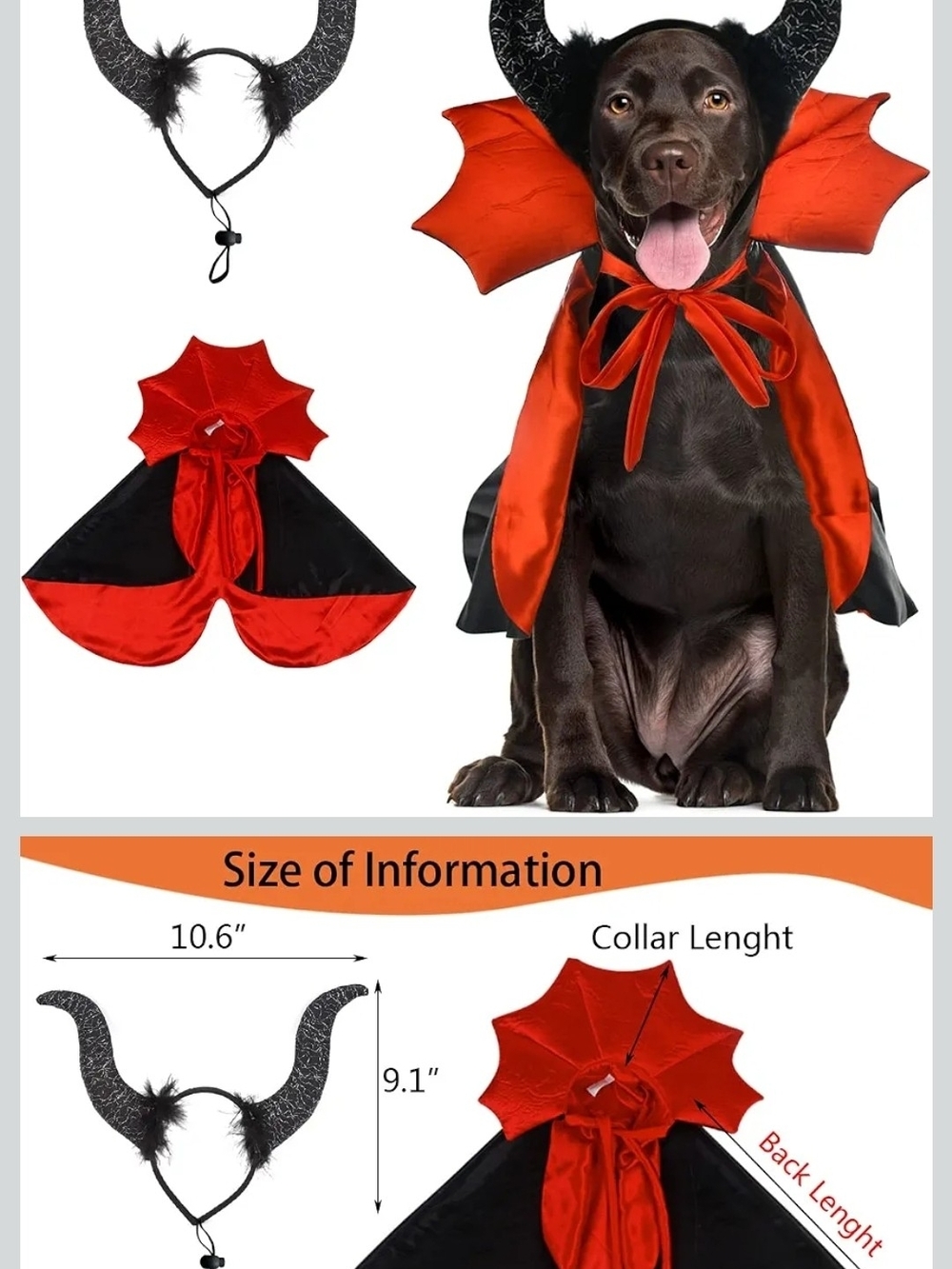 Pet Costume